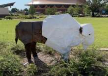 White Bison you can out on the Green section of Unity Square